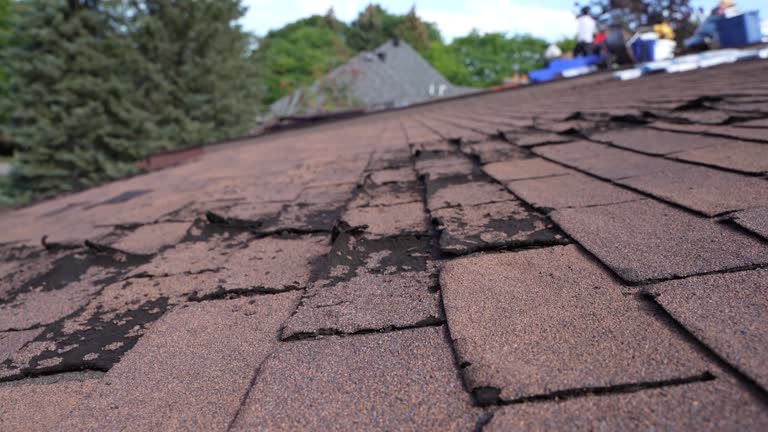 Fast & Reliable Emergency Roof Repairs in Woodinville, WA