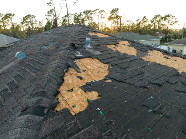 Best Asphalt Shingle Roofing  in Woodinville, WA