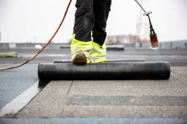 Roof Coating Services in Woodinville, WA